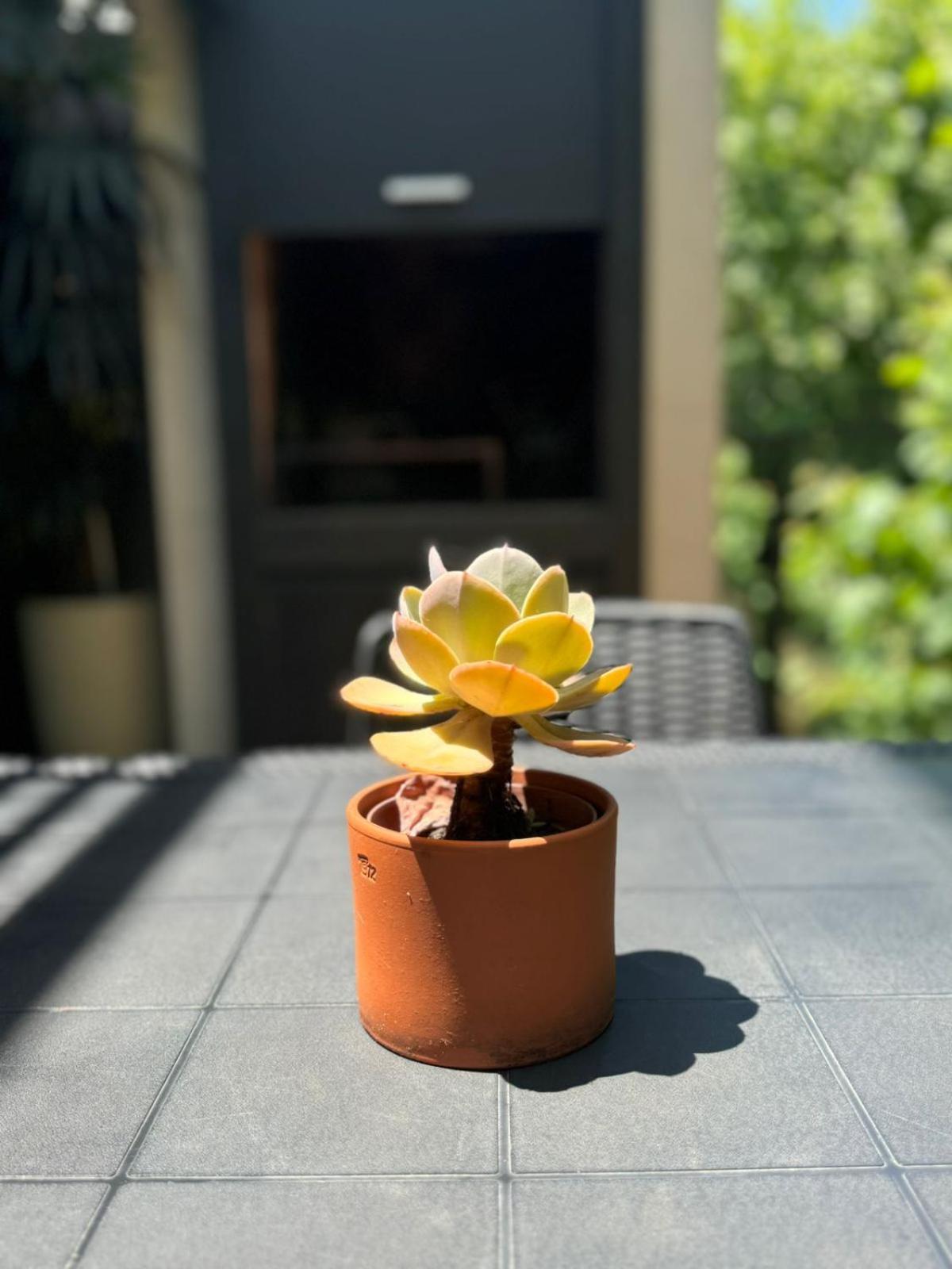 Departamento A Estrenar, Palermo Hollywood VII Bed & Breakfast Буенос Айрес Екстериор снимка